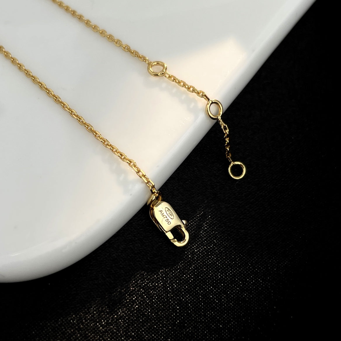 [Joyas Regalia] PULSERA DE CADENA PEQUEÑA FORCE 10